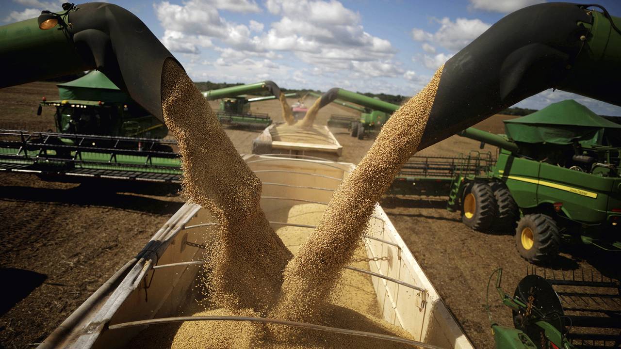 PRODUTIVIDADE - Nos últimos trinta anos, a área plantada com grãos aumentou 65% e a produção cresceu 307%