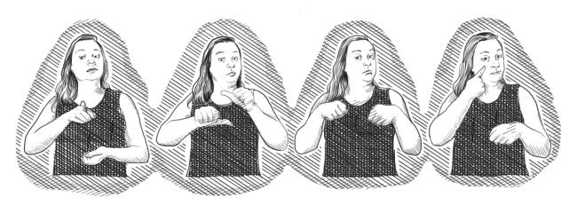 Libras Libras