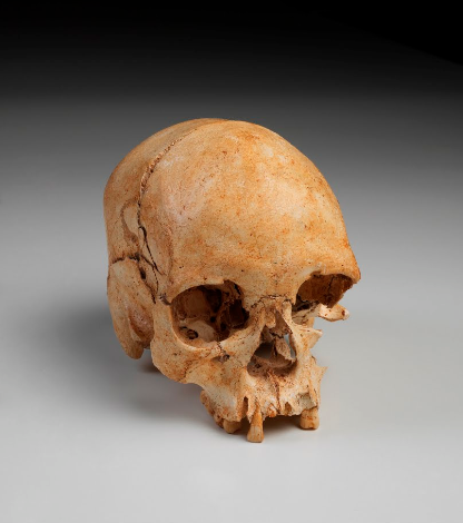 luzia Crânio de Luzia, de 11,5 mil anos de idade, encontrado em área a menos de mil metros do terreno onde seria instalada a fábrica da Heineken