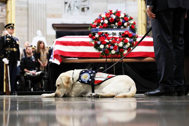 Sully, o labrador que ajudava George H.W.Bush em suas atividades, é visto próximo do caixão do ex-presidente, durante funeral realizado na rotunda do Capitólio americano, em Washington - 04/12/2018 Sully, o labrador que ajudava George H.W.Bush em suas atividades, é visto próximo do caixão do ex-presidente, durante funeral realizado na rotunda do Capitólio americano, em Washington - 04/12/2018