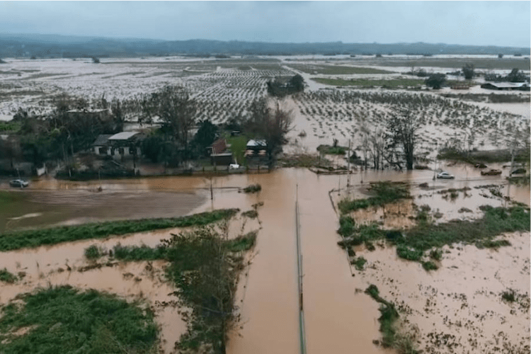 NatGeo lança documentário ecológico que reduz consumo de energia da TV