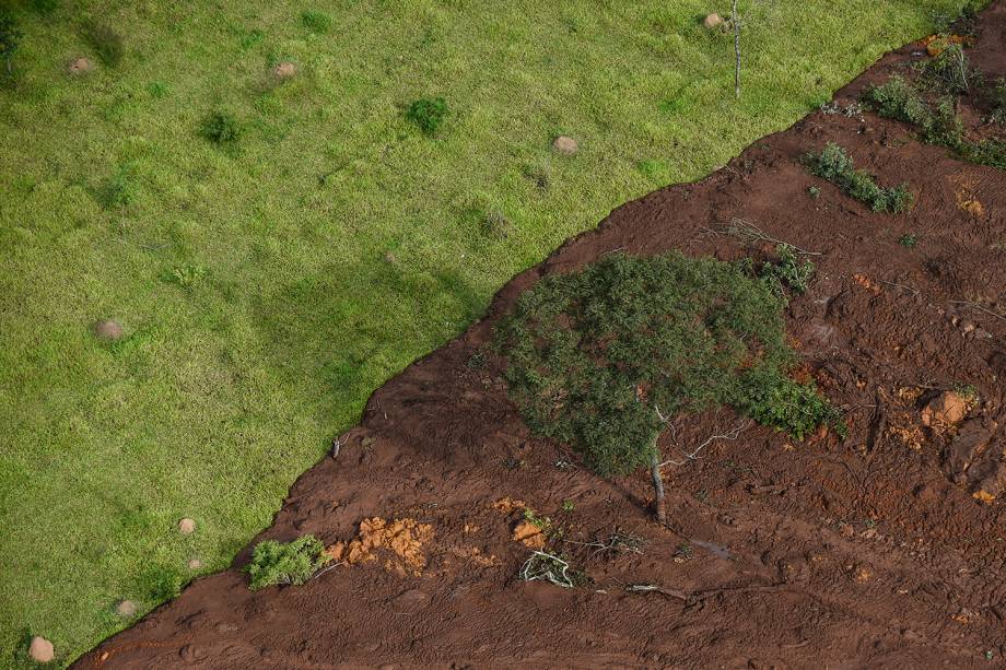 Vista aérea do rompimento de barragem da mineradora Vale em Brumadinho, na Grande Belo Horizonte - 25/01/2019