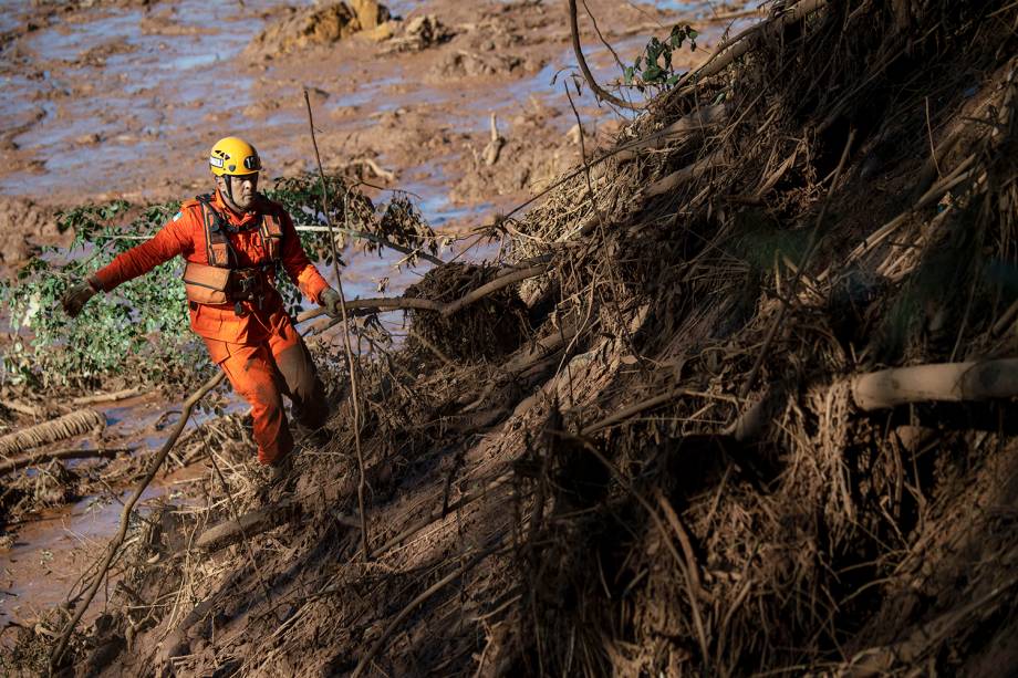 Bombeiro abre passagem na mata, para procurar possíveis sobreviventes do rompimento de barragem em Brumadinho (MG) - 28/01/2019