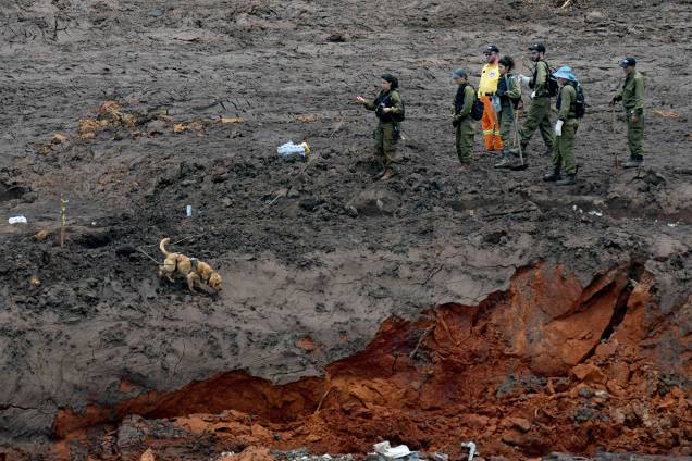Soldados israelenses procuram por vítimas do rompimento de barragem em Brumadinho, Minas Gerais - 30/01/2019 Soldados israelenses procuram por vítimas do rompimento de barragem em Brumadinho, Minas Gerais - 30/01/2019