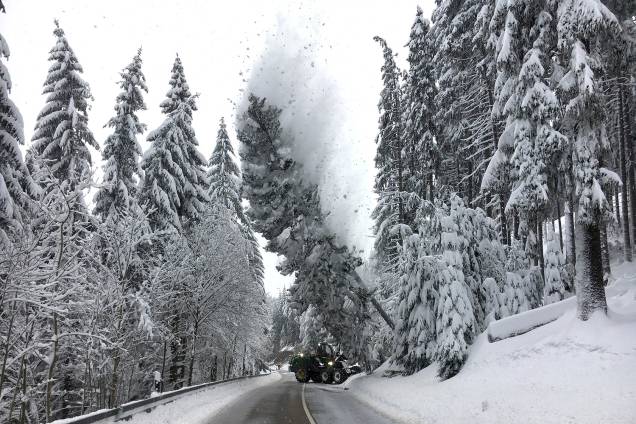 Trabalhadores derrubam uma árvore coberta de neve próximo a uma estrada local em Altenberg, na Alemanha - 11/01/2019 Trabalhadores derrubam uma árvore coberta de neve próximo a uma estrada local em Altenberg, na Alemanha - 11/01/2019