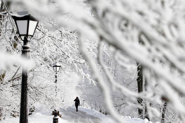 Pessoa é vista caminhando em um parque com as árvores cobertas de neve em Minsk, na Bielorrússia - 11/01/2019 Pessoa é vista caminhando em um parque com as árvores cobertas de neve em Minsk, na Bielorrússia - 11/01/2019