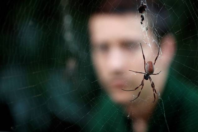 Funcionário do Zoológico de Londres observa aranha em sua teia durante a contagem anual dos animais residentes - 03/01/2019 Funcionário do Zoológico de Londres observa aranha em sua teia durante a contagem anual dos animais residentes - 03/01/2019