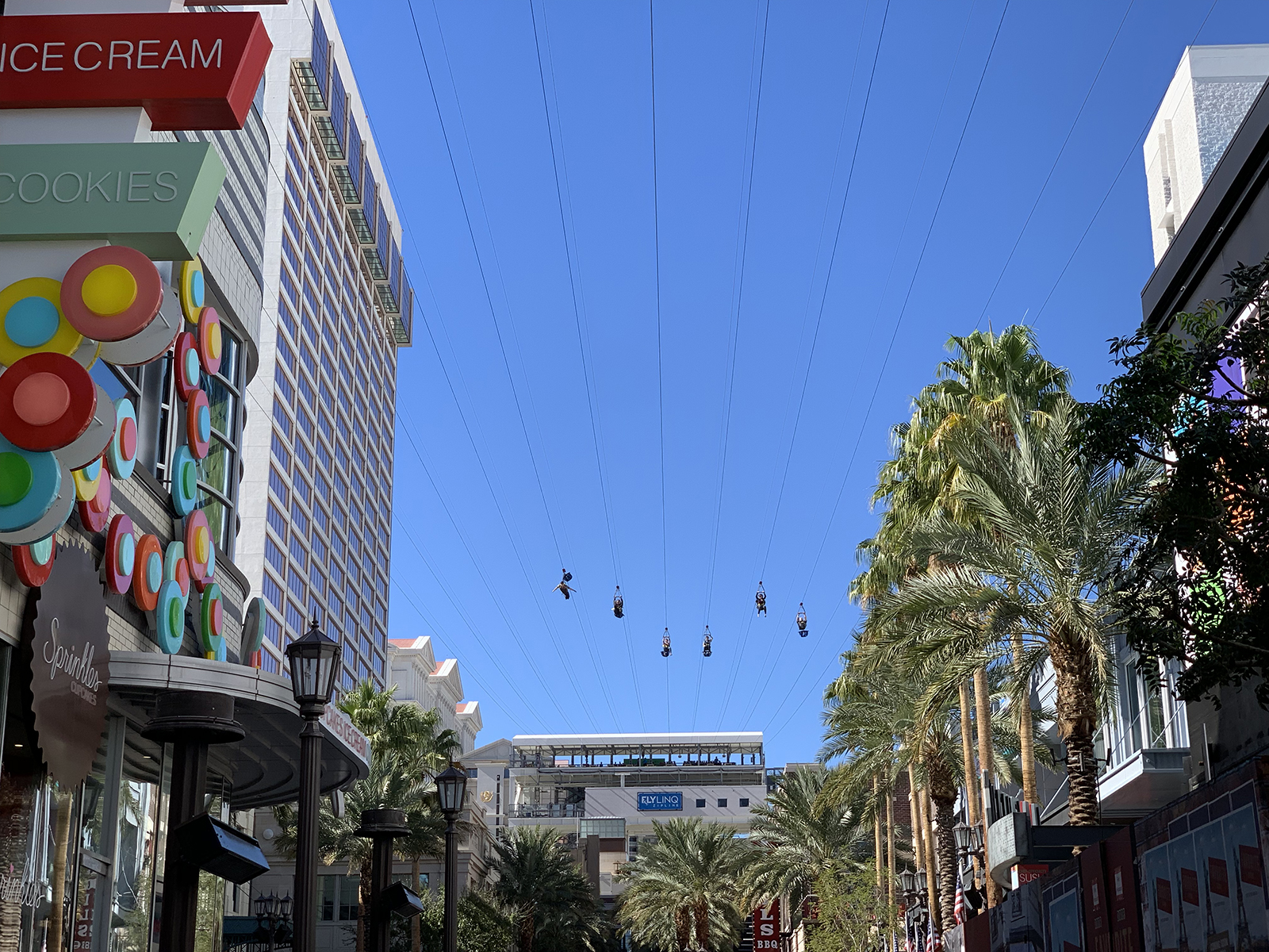 zipline-2