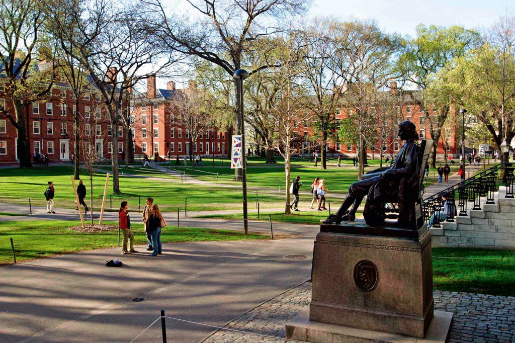 Empresa lança “sala de aula virtual” para incentivar volta aos estudos