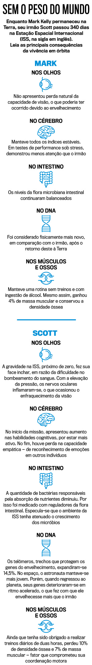 irmaos-iss irmaos-iss