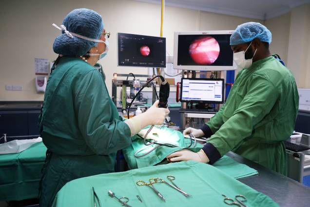 Falcão é submetido a uma cirurgia na sala de operações do Abu Dhabi Falcon Hospital - 28/04/2019 Falcão é submetido a uma cirurgia na sala de operações do Abu Dhabi Falcon Hospital - 28/04/2019