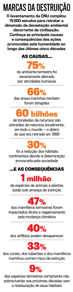 arte-marcas-da-destruição