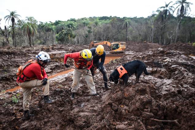 Cão farejador e equipe de resgate procuram possíveis vitimas em meio à lama, 100 dias após o rompimento da barragem da mineradora Vale, localizada na mina Córrego do Feijão, em Brumadinho (MG) - 03/05/2019 Cão farejador e equipe de resgate procuram possíveis vitimas em meio à lama, 100 dias após o rompimento da barragem da mineradora Vale, localizada na mina Córrego do Feijão, em Brumadinho (MG) - 03/05/2019