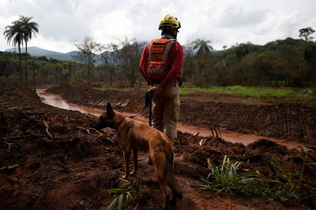 Cão farejador procura possíveis vitimas em meio à lama, 100 dias após o rompimento da barragem da mineradora Vale, localizada na mina Córrego do Feijão, em Brumadinho (MG) - 03/05/2019 Cão farejador procura possíveis vitimas em meio à lama, 100 dias após o rompimento da barragem da mineradora Vale, localizada na mina Córrego do Feijão, em Brumadinho (MG) - 03/05/2019