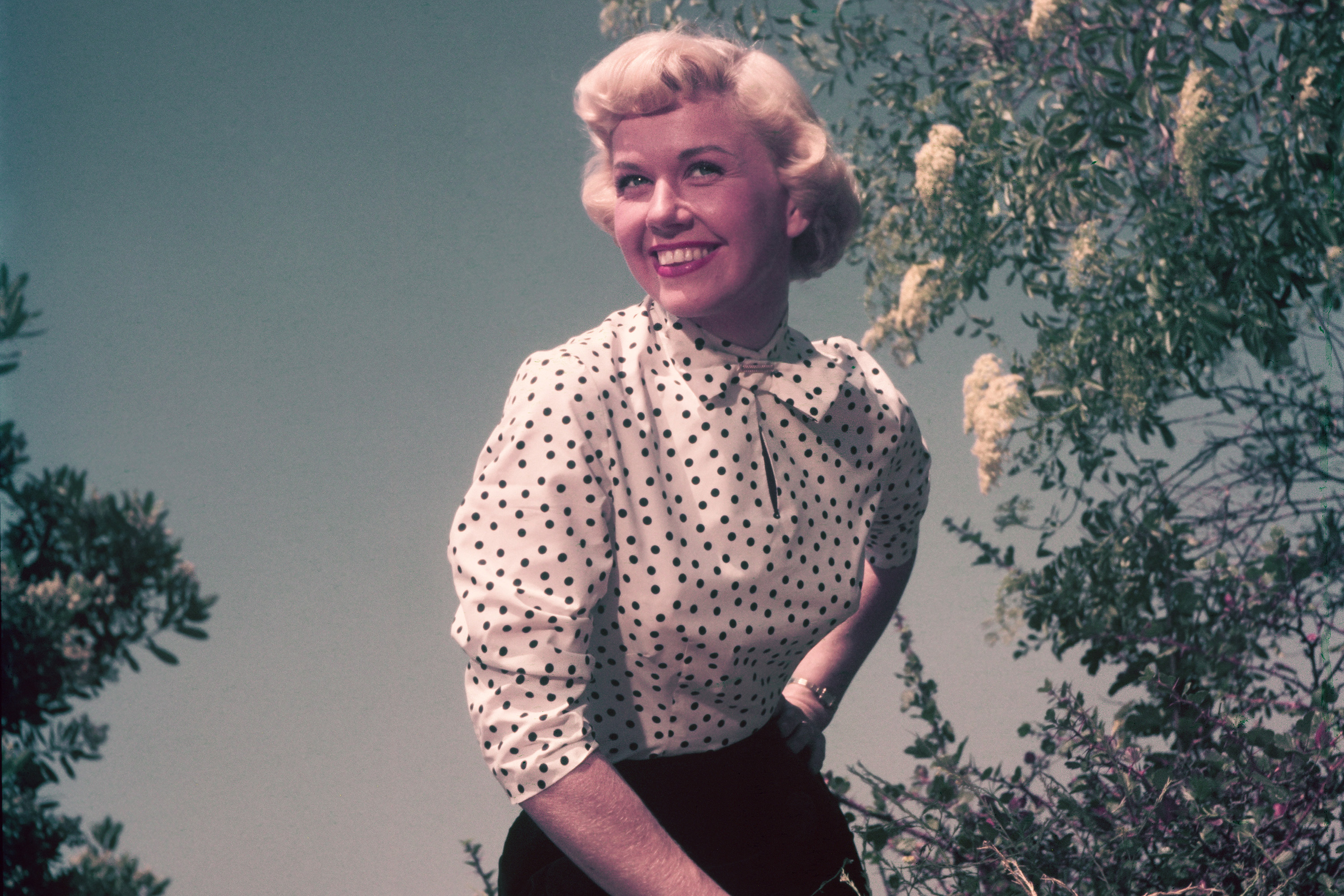 Doris Day