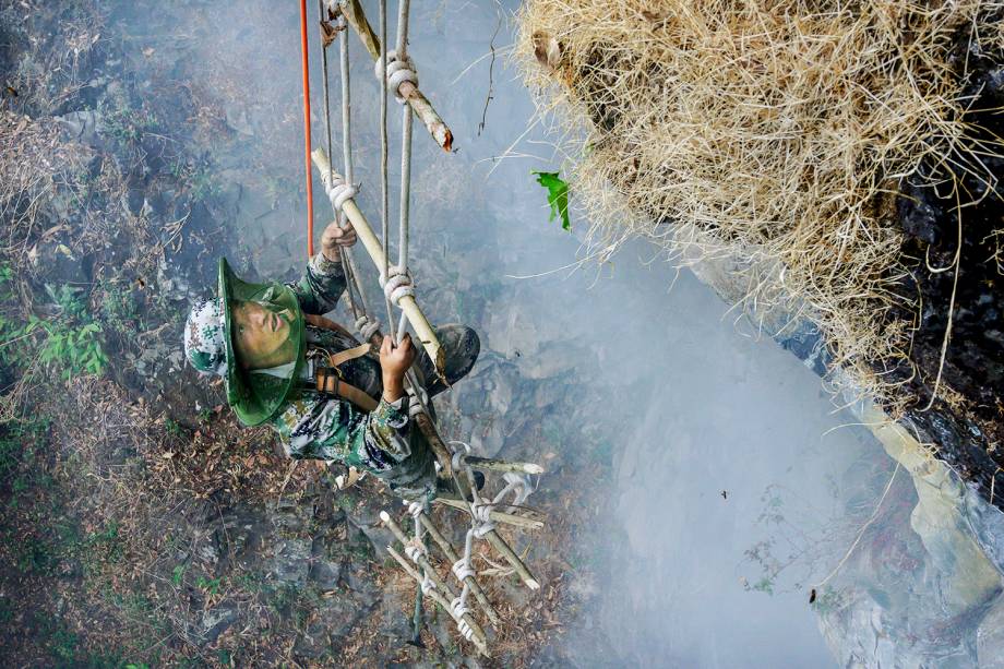 Os caçadores de mel utilizam equipamentos de proteção e fumegadores para espalhar as gigantescas abelhas do Himalaia de suas colmeias e reduzir o risco de serem picados. Ainda assim, eles sofrem diversas picadas durante as escaladas nos penhascos chineses - 30/05/2019