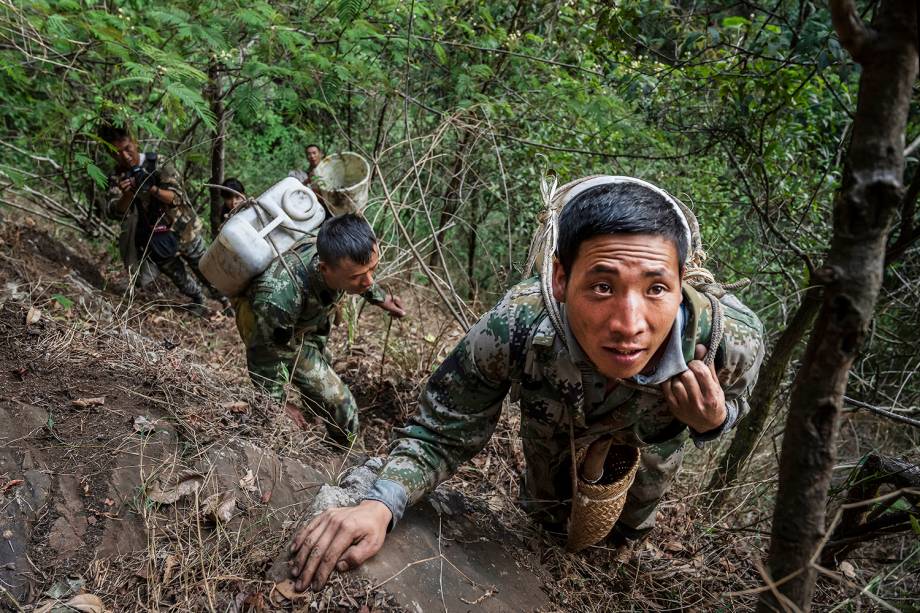 Os caçadores de mel utilizam equipamentos de proteção e fumegadores para espalhar as gigantescas abelhas do Himalaia de suas colmeias e reduzir o risco de serem picados. Ainda assim, eles sofrem diversas picadas durante as escaladas nos penhascos chineses - 10/05/2019