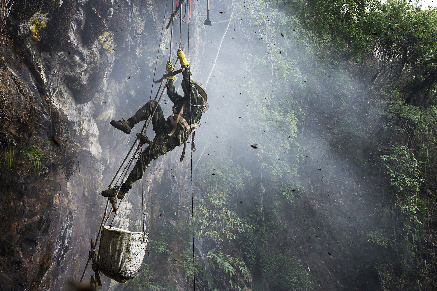FOTOS: Caçadores de mel coletam favos em penhascos da China