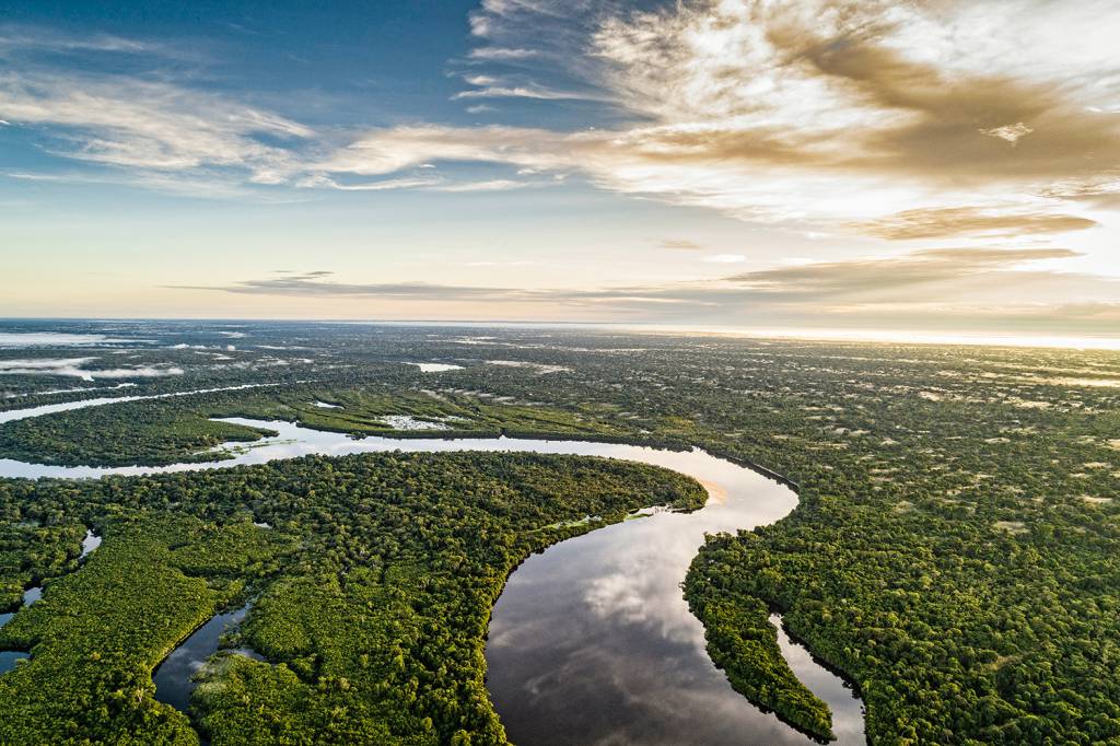 FLORESTA-AMAZONIA-2019