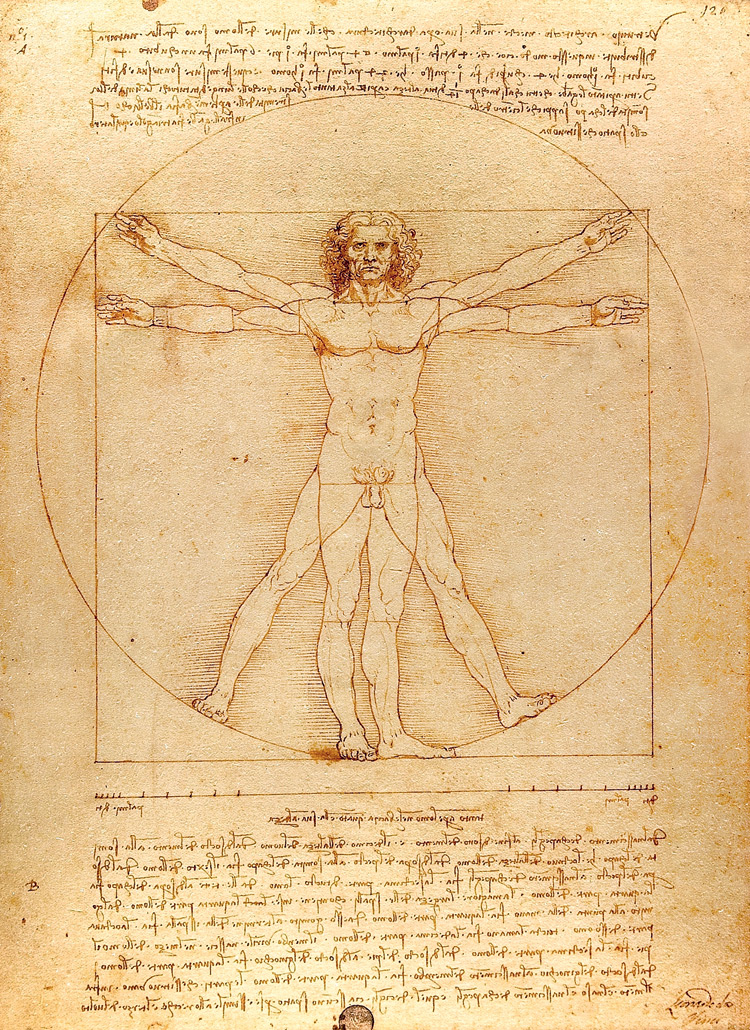 HOMEM VITRUVIANO (1490) HOMEM VITRUVIANO (1490)