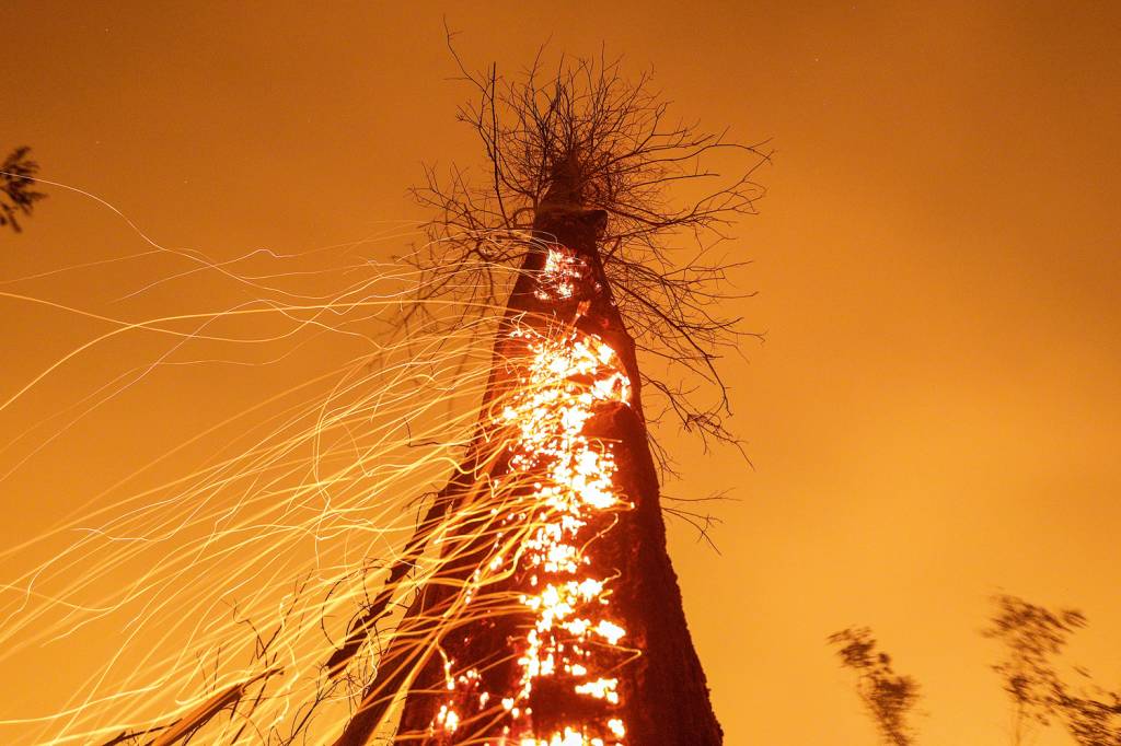 Marina Silva: o tempo do desgoverno