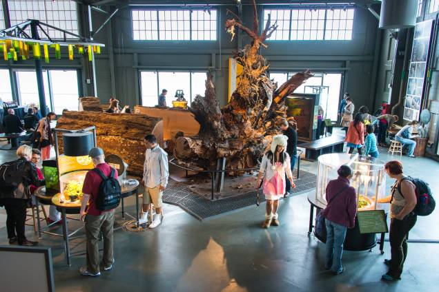 Área de ciências biológicas do museu Exploratorium de Sâo Francisco (EUA) Área de ciências biológicas do museu Exploratorium de Sâo Francisco (EUA)