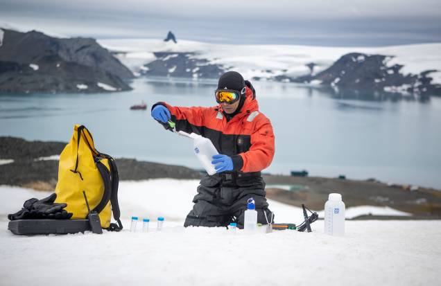 O pesquisador analisa fungos que vivem na neve para encontrar propriedades anticongelantes O pesquisador analisa fungos que vivem na neve para encontrar propriedades anticongelantes