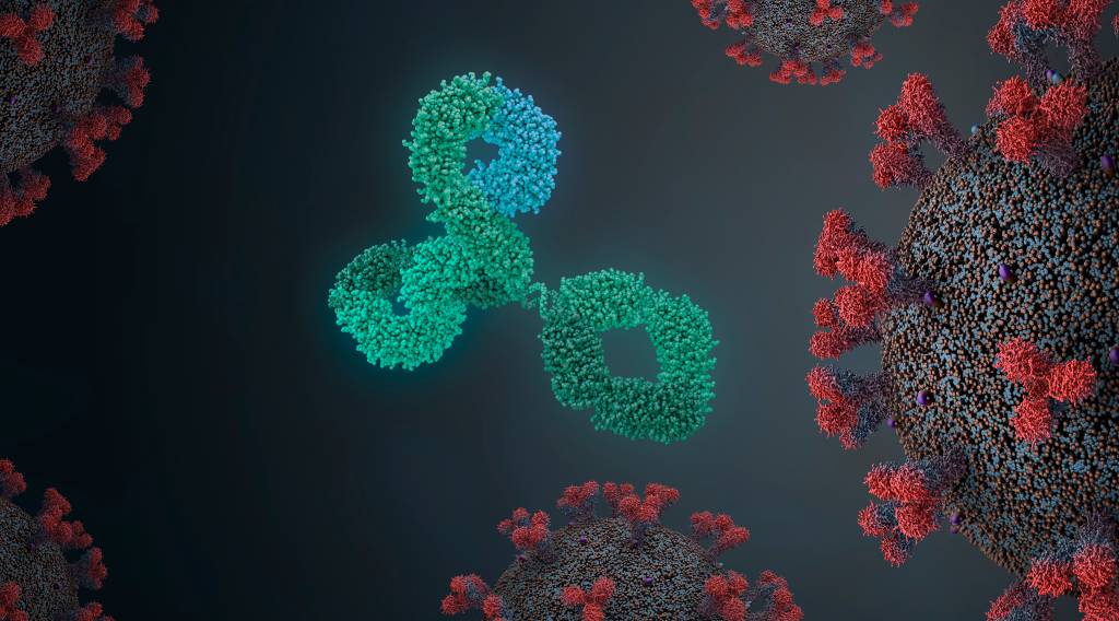 Pesquisadores criam anticorpo capaz de combater o coronavírus