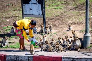 Tailândia Turismo Macacos Coronavírus Tailândia Turismo Macacos Coronavírus