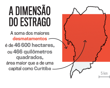 Arte-desmatamento&mdash;mapa-Curitiba-IPHONE