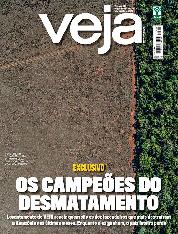 OS CAMPEÕES DO DESMATAMENTO - 05/08/2020