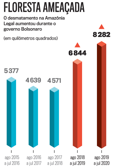 arte-floresta-1-iPhone