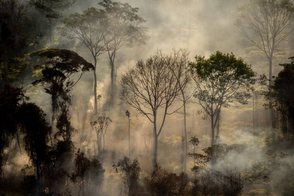 Deforestation and Fire Monitoring in the Amazon in July, 2020Monitoramento de Desmatamento e Queimadas na Amazônia em Julho de 2020