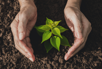 Meio ambiente, sustentabilidade e saúde mental