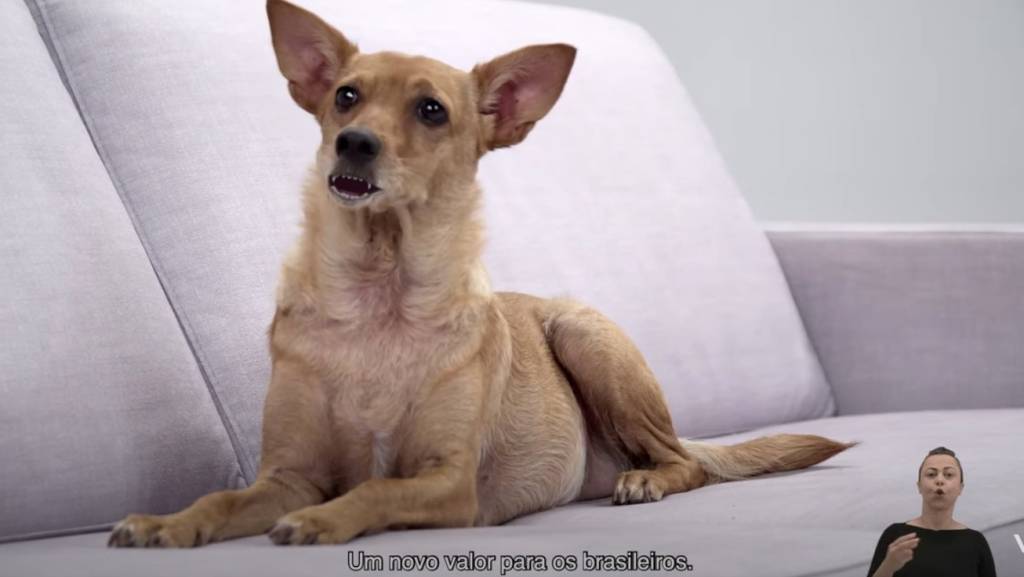 VIDEO: BC coloca Caramelo para apresentar nota de R$ 200