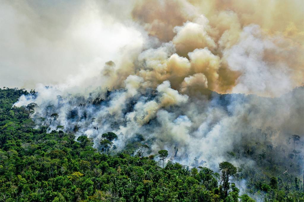 Incêndios florestais aumentam na Amazônia após novo Código Florestal