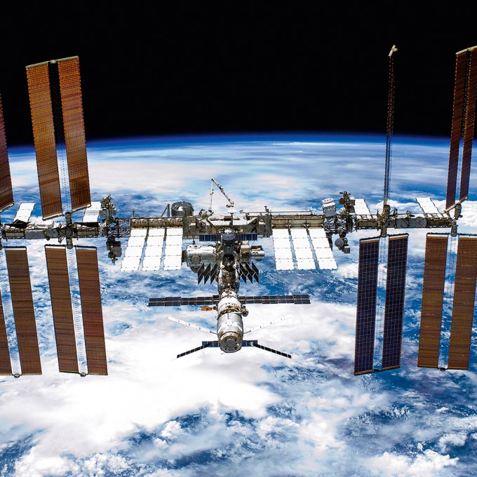 Musgo sobrevive por nove meses preso no lado de fora da Estação Espacial Internacional