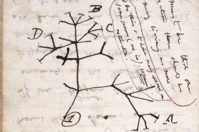 Cadernos de Darwin, avaliados em milhões, estão desaparecidos
