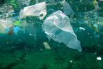 plastico