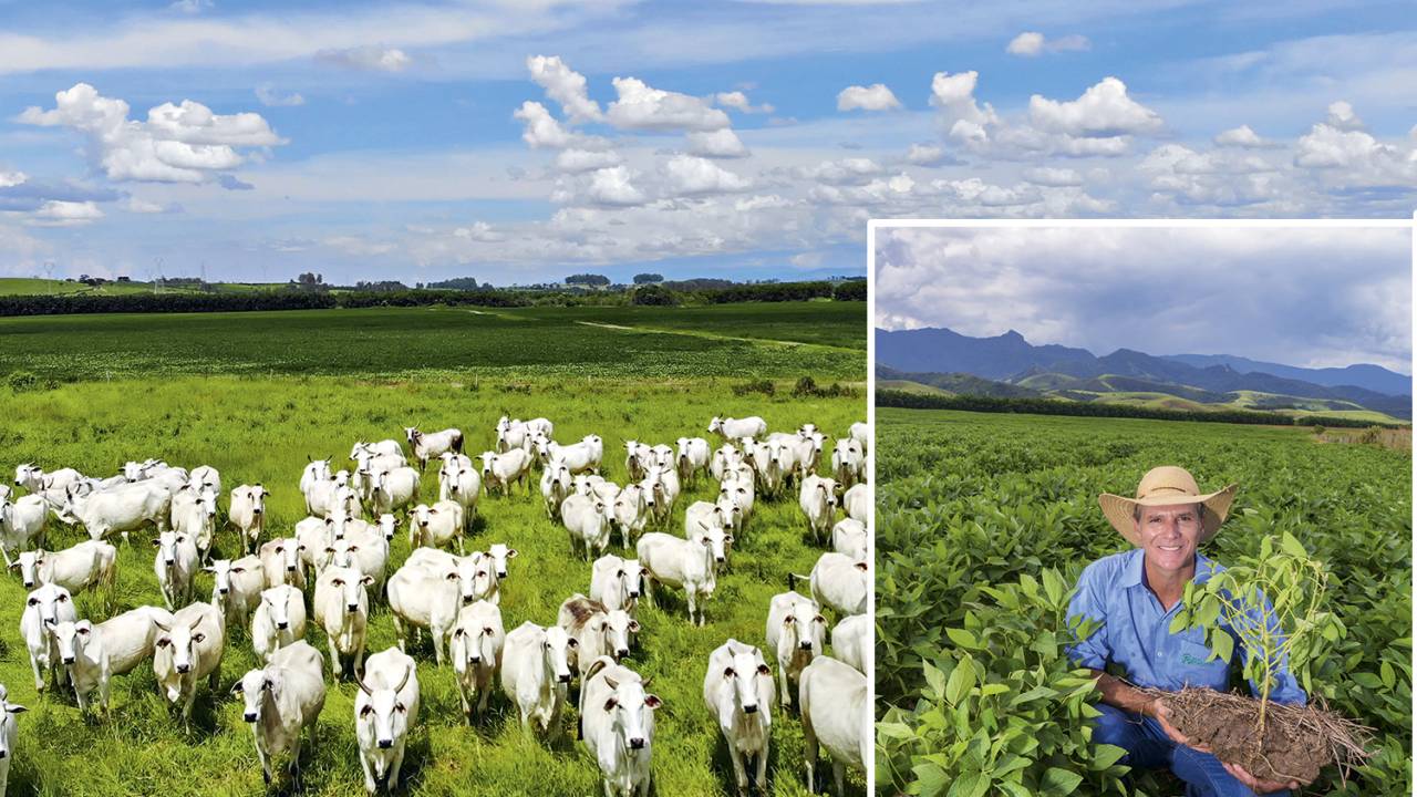 PELERSON PENIDO — Fazenda Mantiqueira -