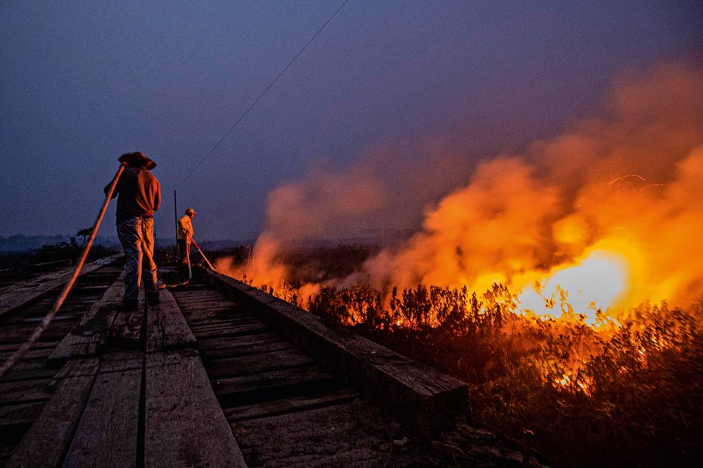 Ibama multa em R$ 100 milhões fazendeiros que incendiaram Pantanal