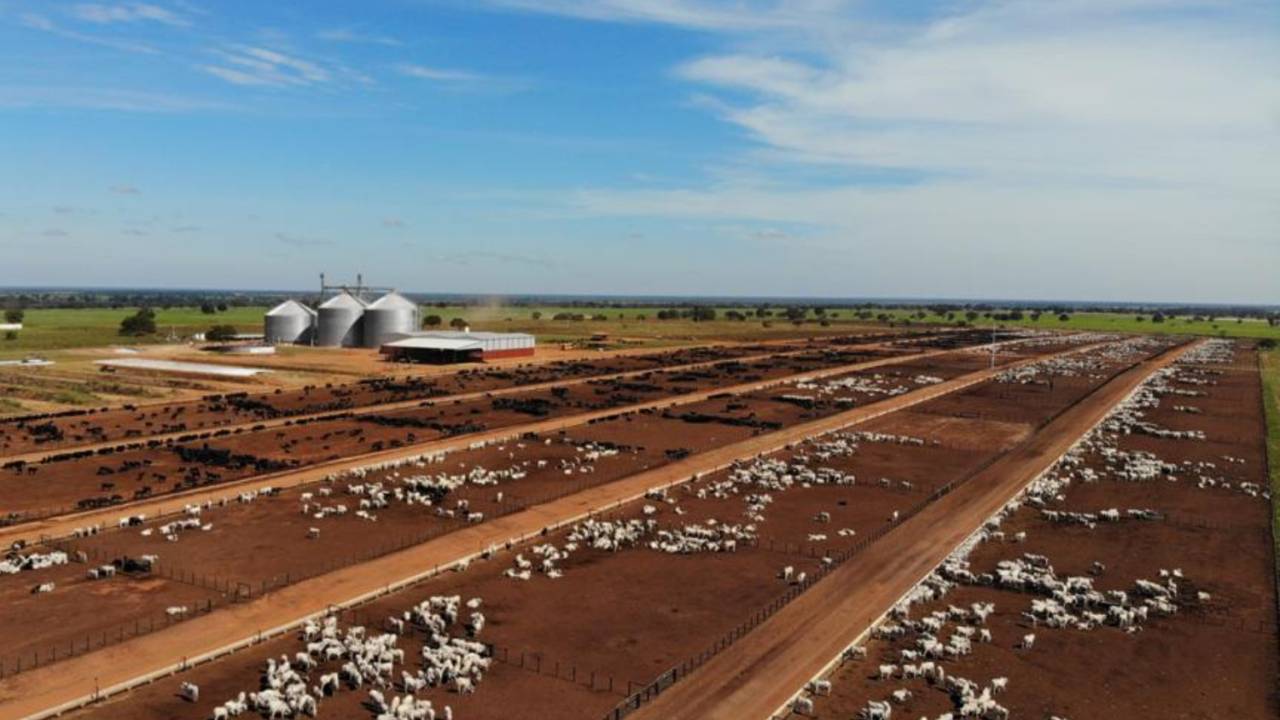Fazenda Nova Piratininga