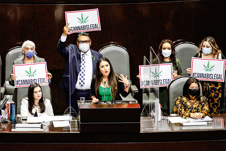 VENTO A FAVOR - Deputados mexicanos se manifestam na votação do projeto: vitória da legalização -