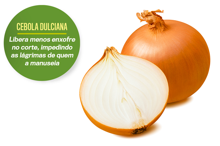 GettyImages-1312443296 CEBOLA DULCIANA -