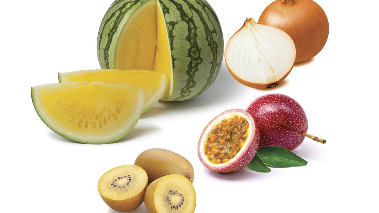 montagem frutas