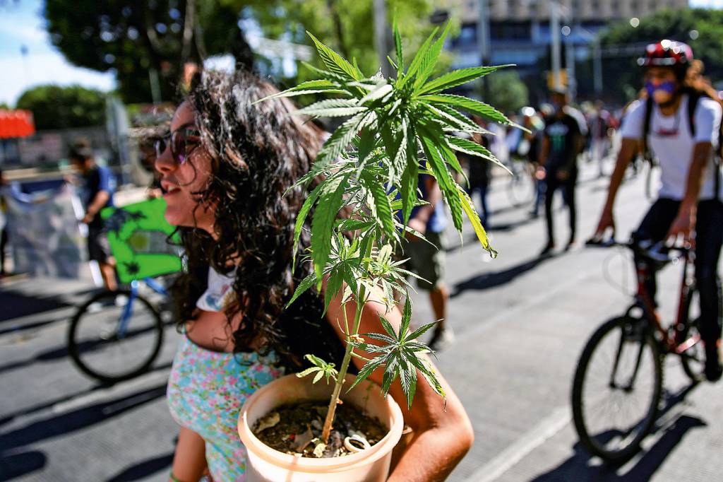 Activistas de marihuana presionan al Congreso mexicano a horas de su decisiÛn ATIVISMO - Passeata no México: o país latino-americano aprovou lei de liberação do uso recreativo da maconha -