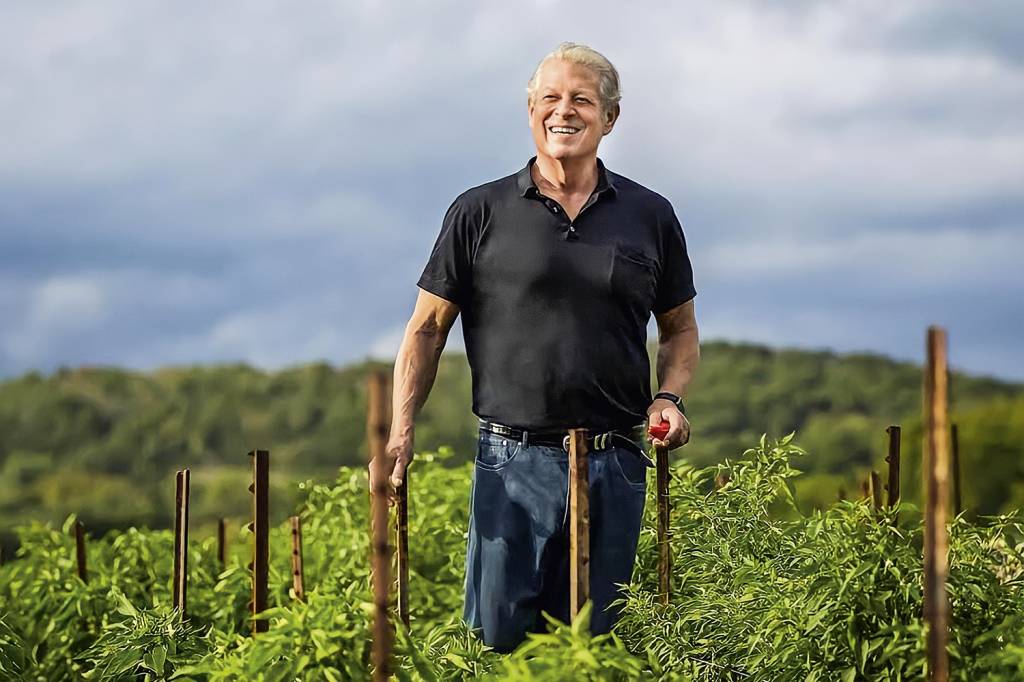 Veja Essa: Al Gore, Paulo Guedes e Deborah Secco