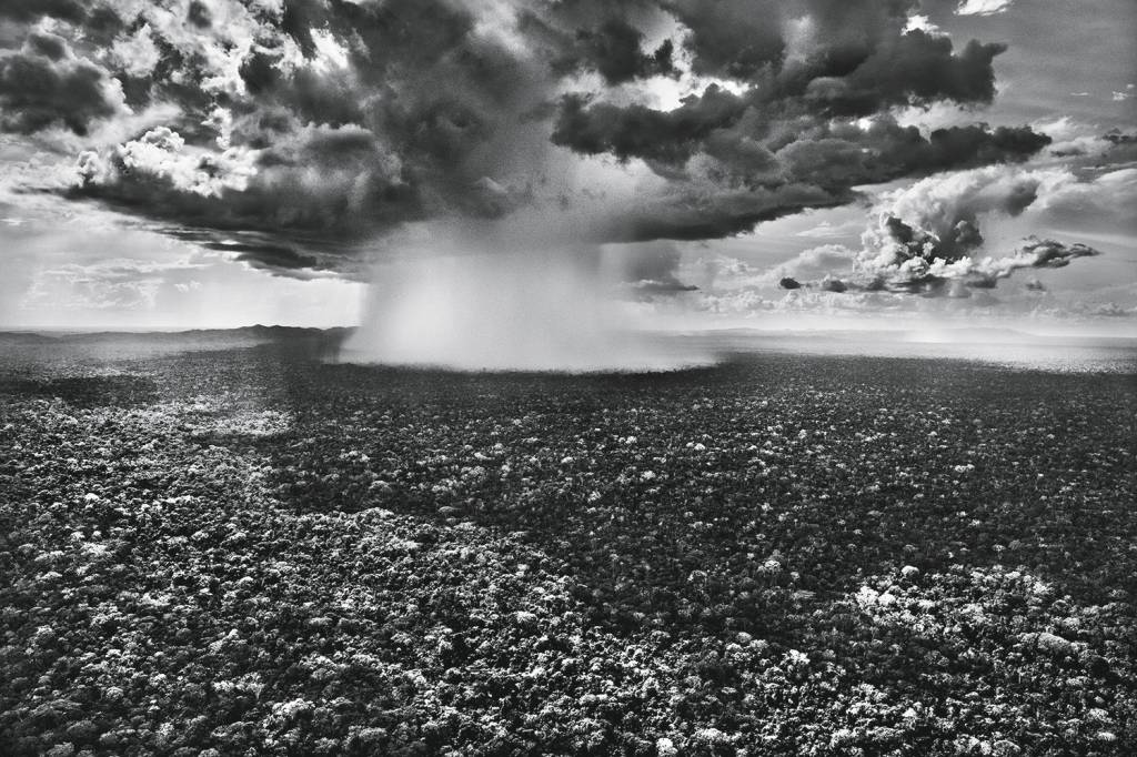 ABRE-2-DUPLA-xl_salgado_amazonia_p415.jpg RIOS AÉREOS - Explosão de chuva no Parque Nacional da Serra do Divisor (AC) -