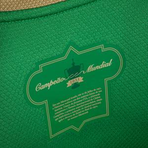 palmeiras2 palmeiras2