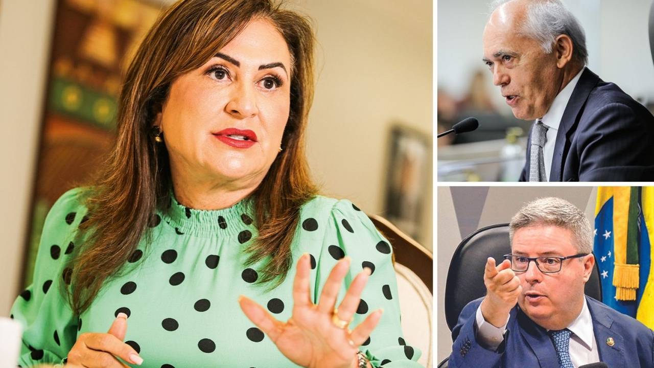 SÓ PODE HAVER UM - A senadora Kátia Abreu e o senador Antonio Anastasia (abaixo): eles disputam a vaga que será aberta com a aposentadoria precoce do ministro Raimundo Carreiro (acima) -